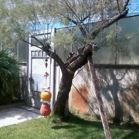 Lamborghini Con Piscina Borghetto Primo